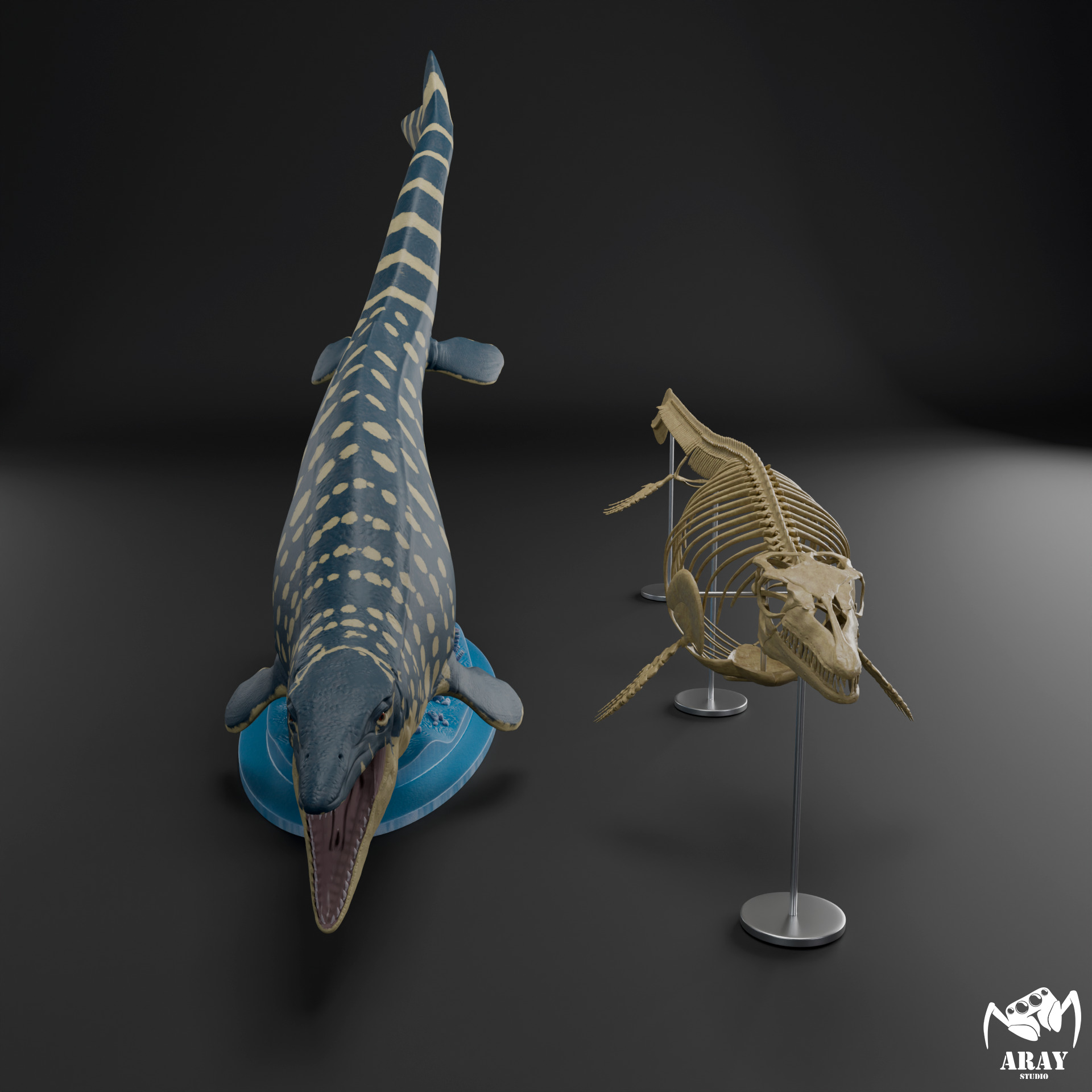 Mosasaurus hoffmanni skeleton 3D print model_18