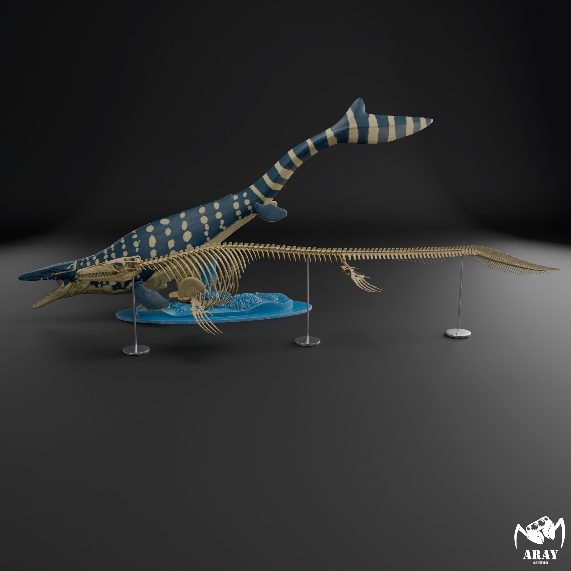 Mosasaurus hoffmanni skeleton 3D print model_20