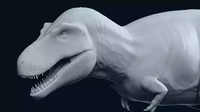 Tyrannosaurus Rex 02