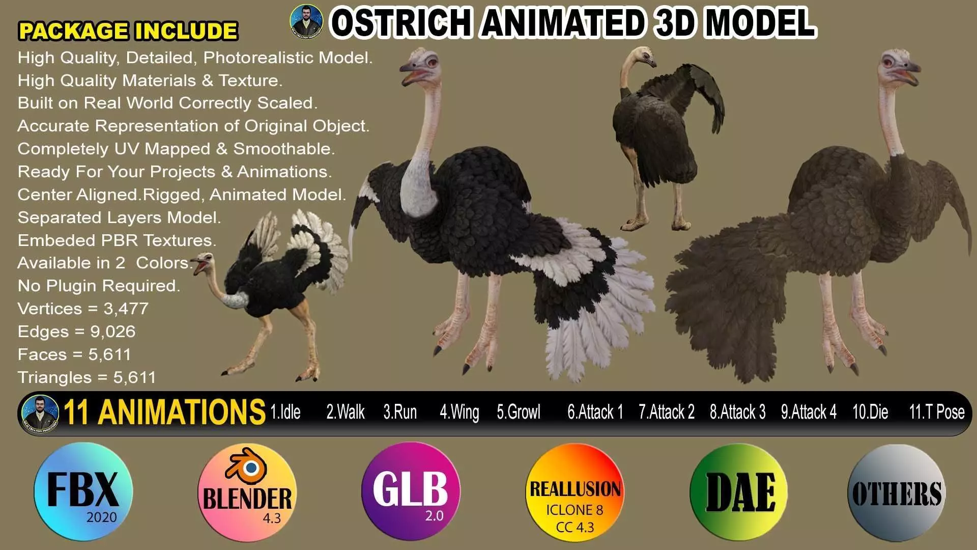 OSTRICT RIGGED ANIMATED 11 Low-poly 3D model