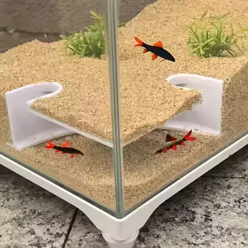 Tunel para peces 9 - acuario - pecera