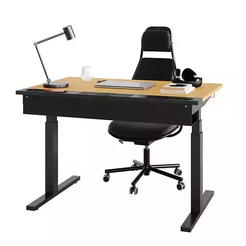 Mittzon Loparbana desk and chair