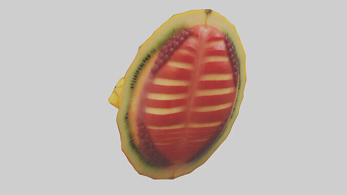 Fruit Garnish model Low-poly 3D model 4