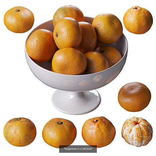 Food collection 3D Model Pack 5