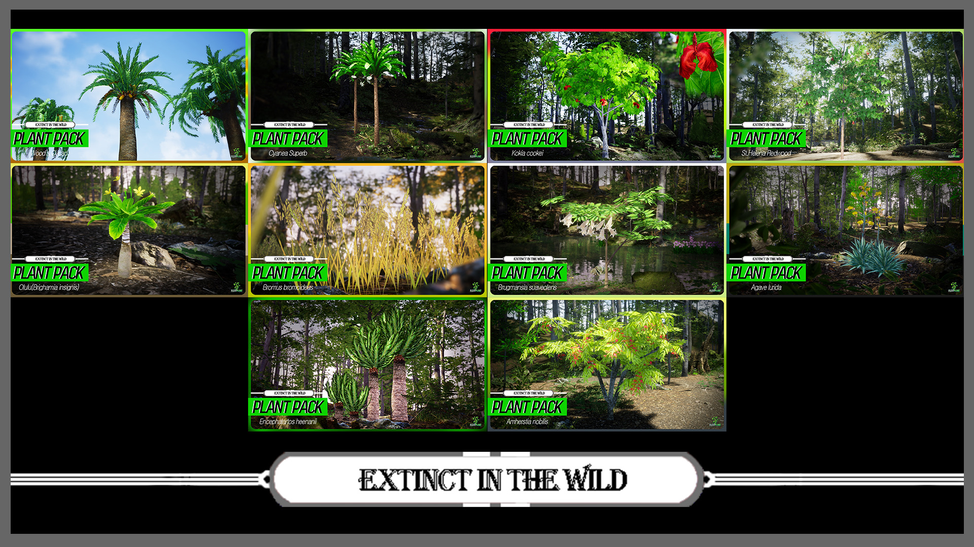 MEGA PLANT PACK - 45 IUCN Red list of Threatened Species 01 Pack Low-poly 3D model_3