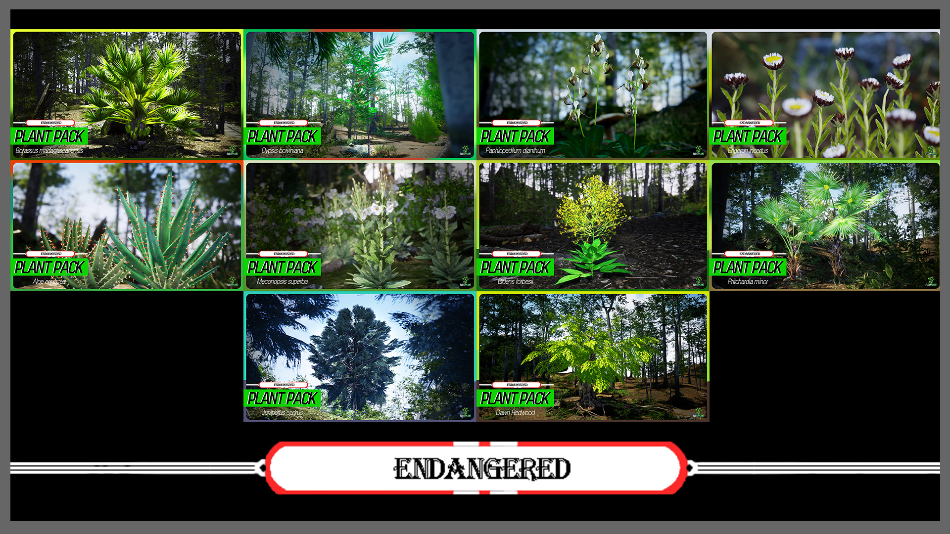 MEGA PLANT PACK - 45 IUCN Red list of Threatened Species 01 Pack Low-poly 3D model_7