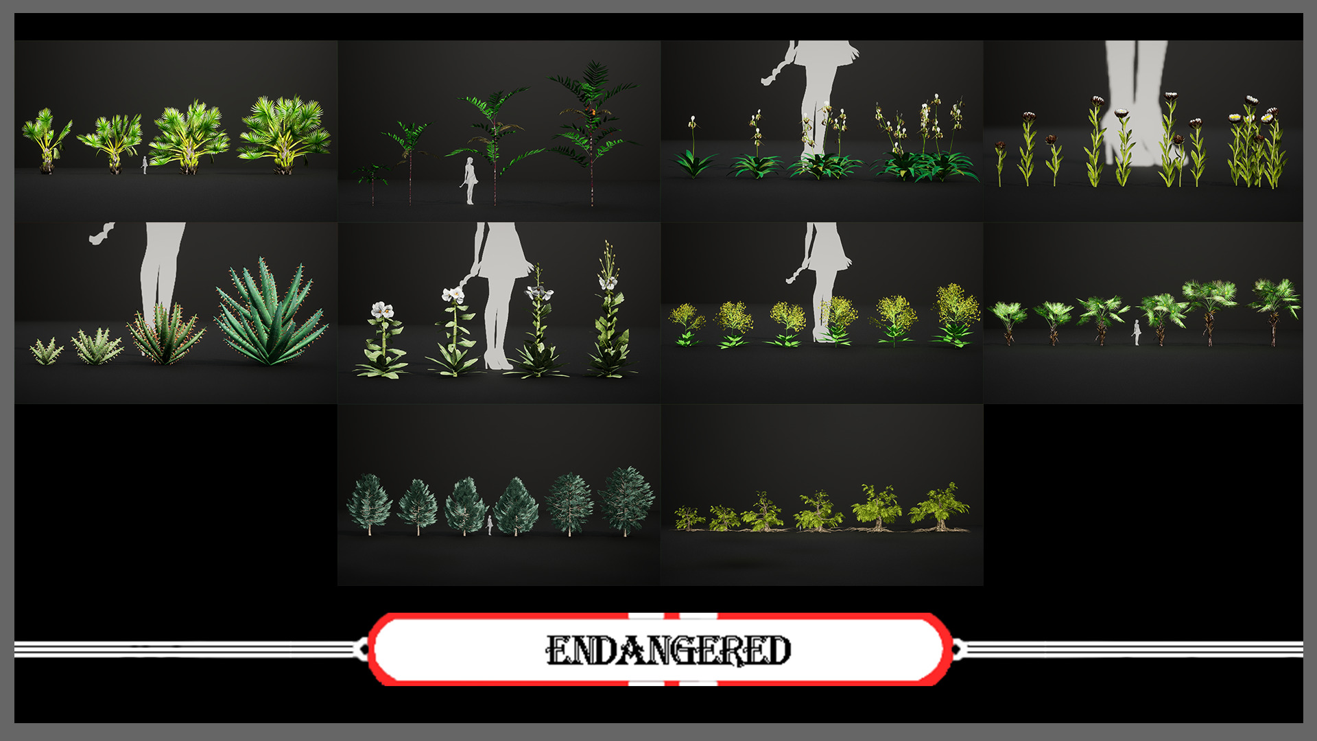 MEGA PLANT PACK - 45 IUCN Red list of Threatened Species 01 Pack Low-poly 3D model_8
