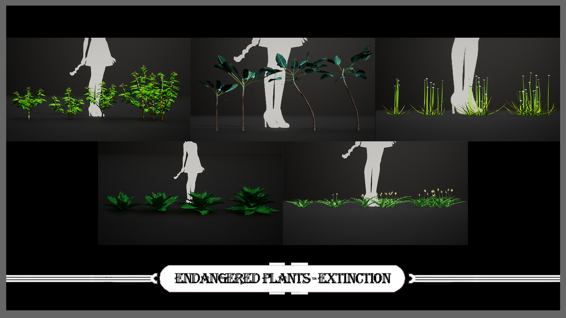 MEGA PLANT PACK - 45 IUCN Red list of Threatened Species 01 Pack Low-poly 3D model_2