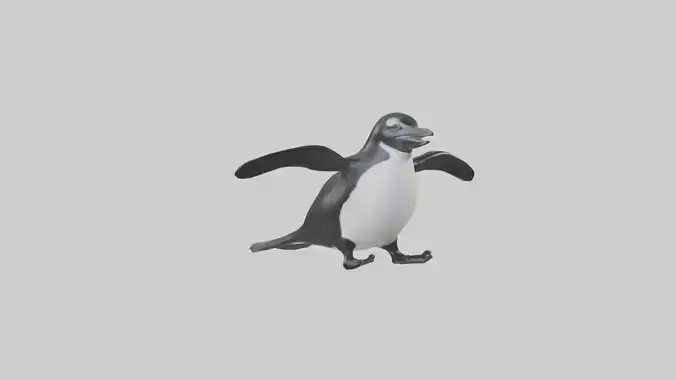 Galapagos Penguin sliding model Low-poly 3D model
