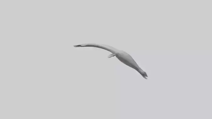Ganges River Dolphin breaching model Low-poly 3D model