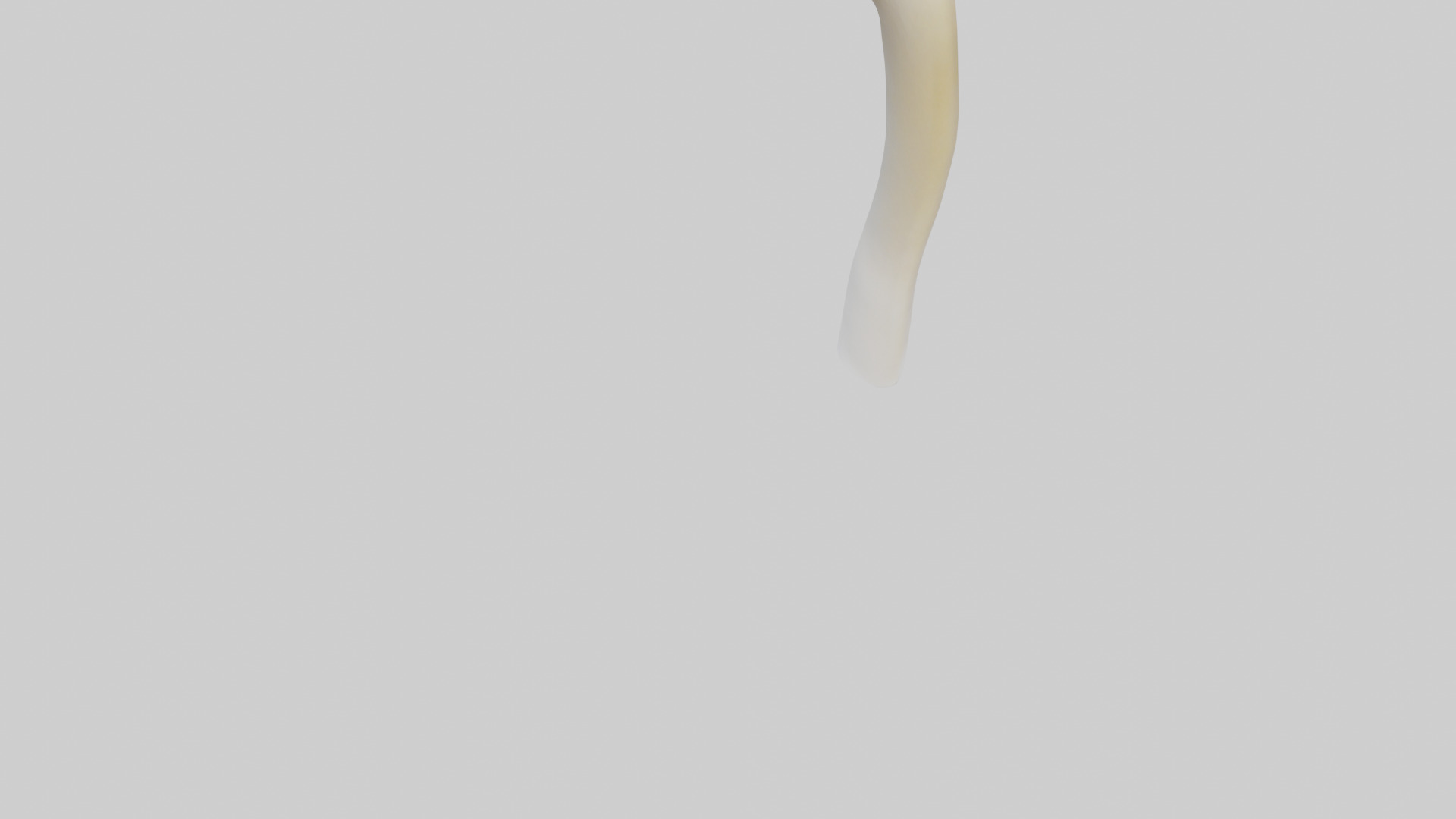 Gannet Beak Low-poly 3D model_4