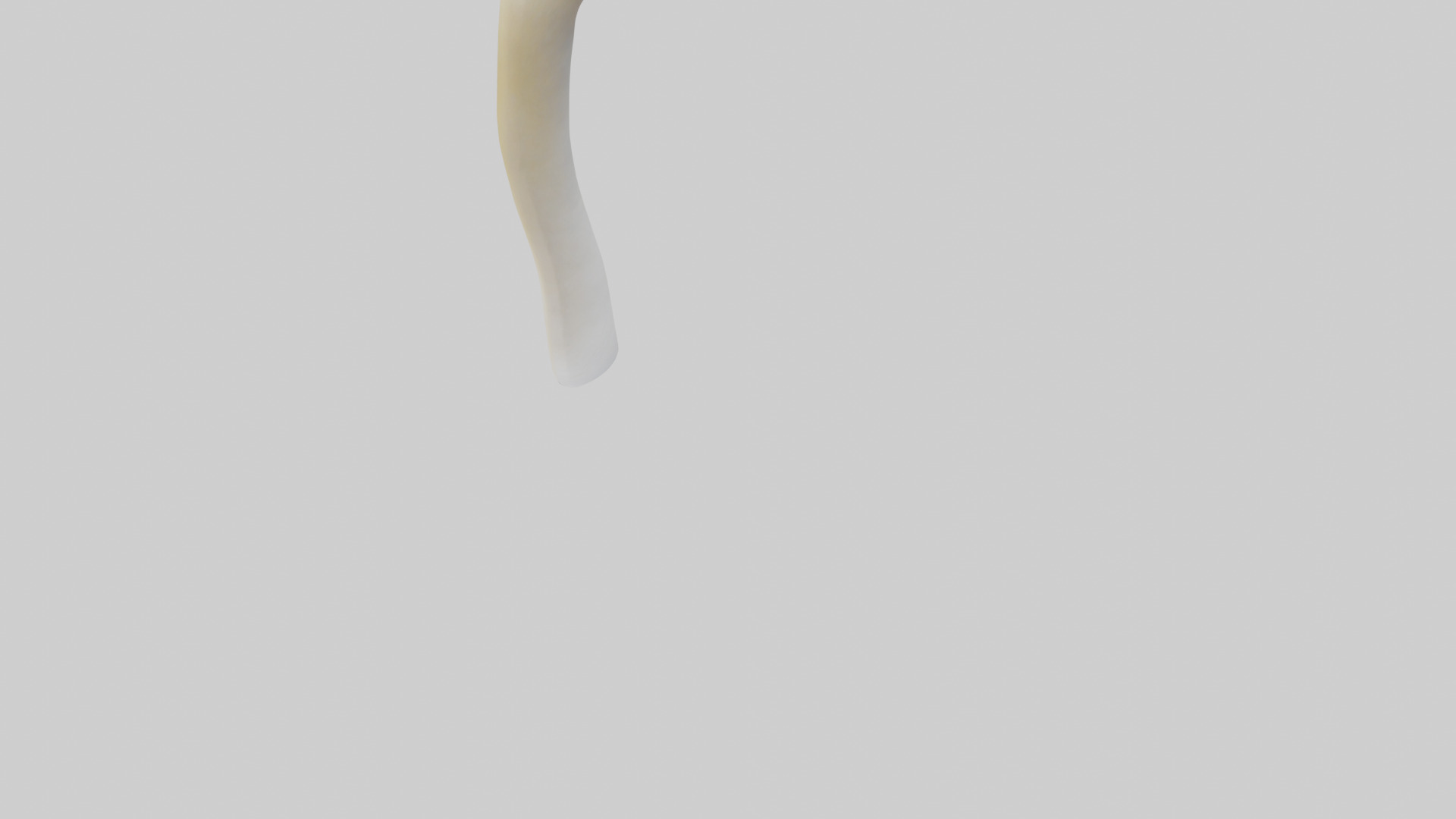 Gannet Beak Low-poly 3D model_6