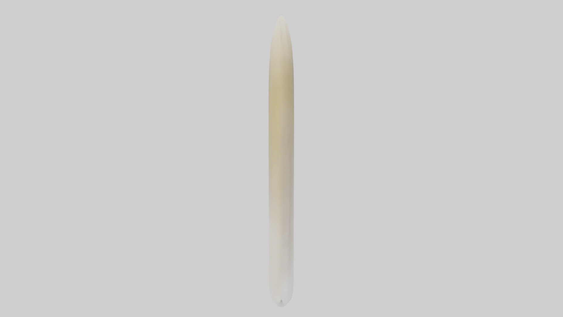 Gannet Beak Low-poly 3D model_13