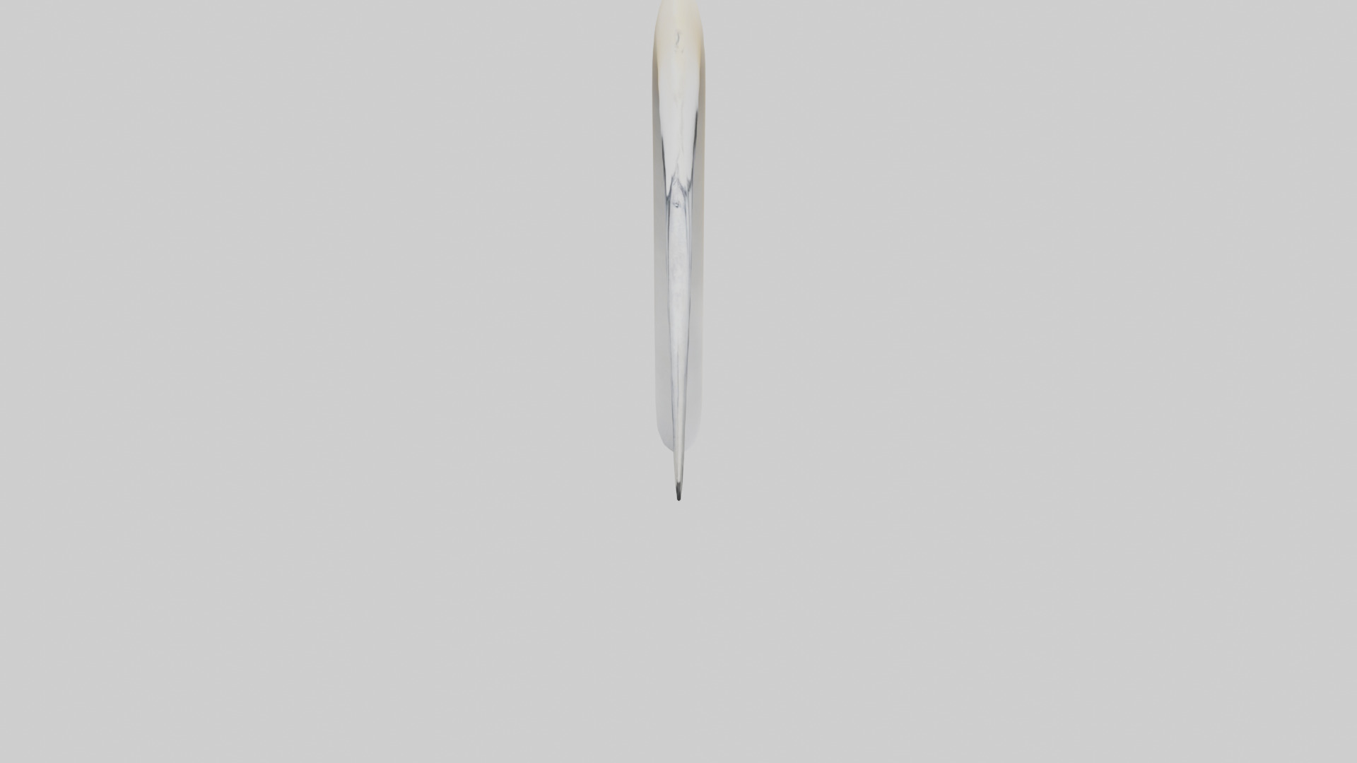 Gannet Beak Low-poly 3D model_17
