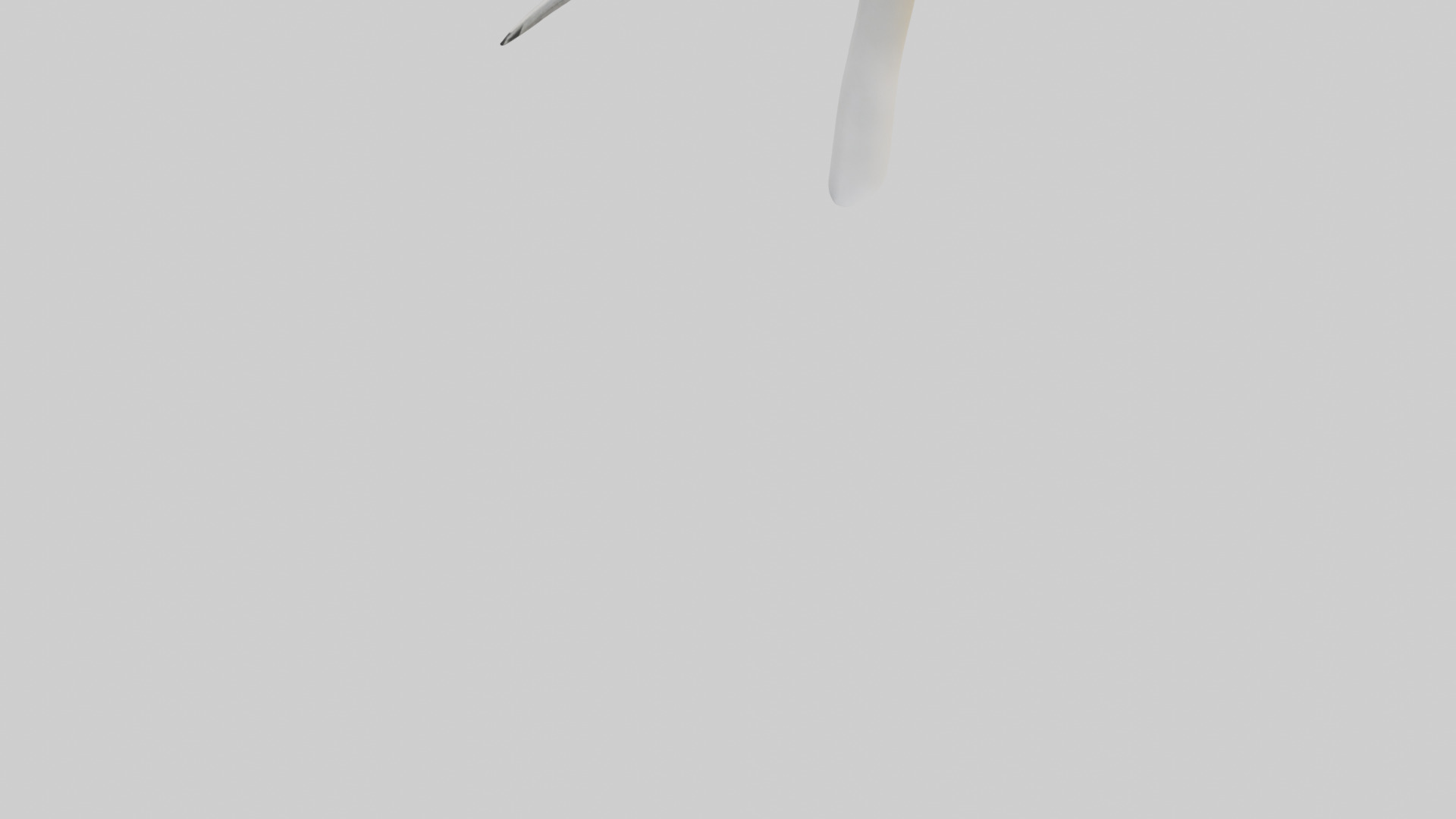 Gannet Beak Low-poly 3D model_3
