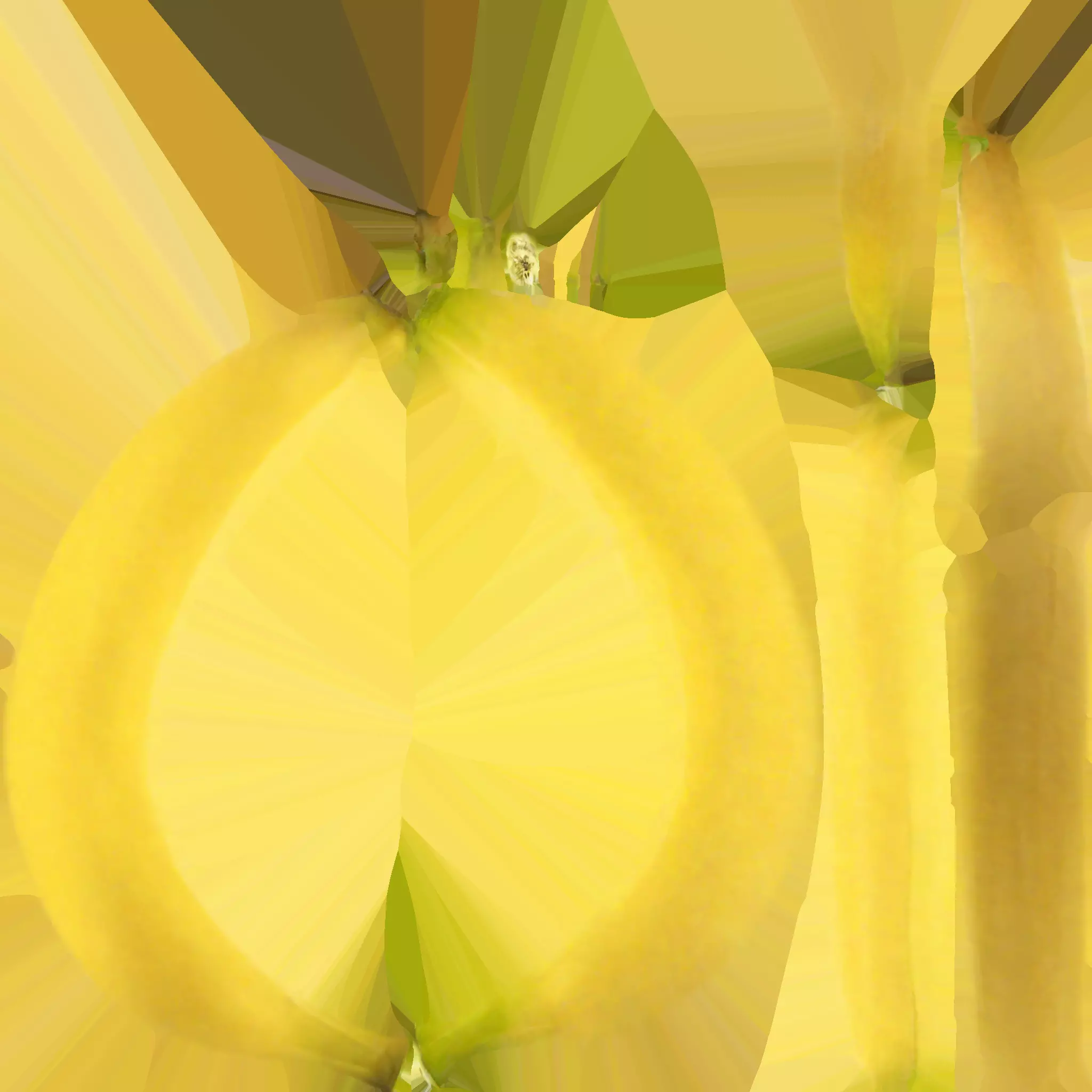 Sweet banana 3D model_0