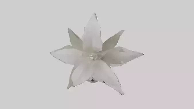 Gardenia model