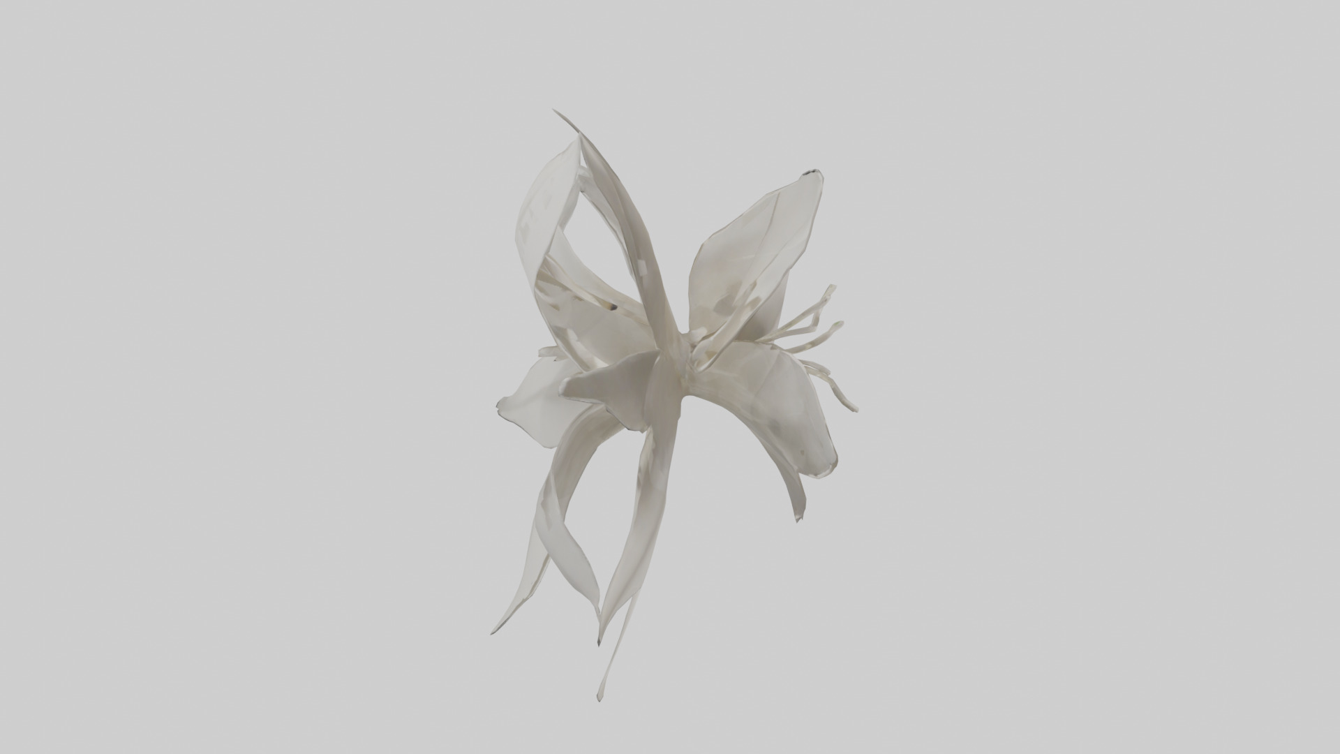 Gardenia model Low-poly 3D model_18