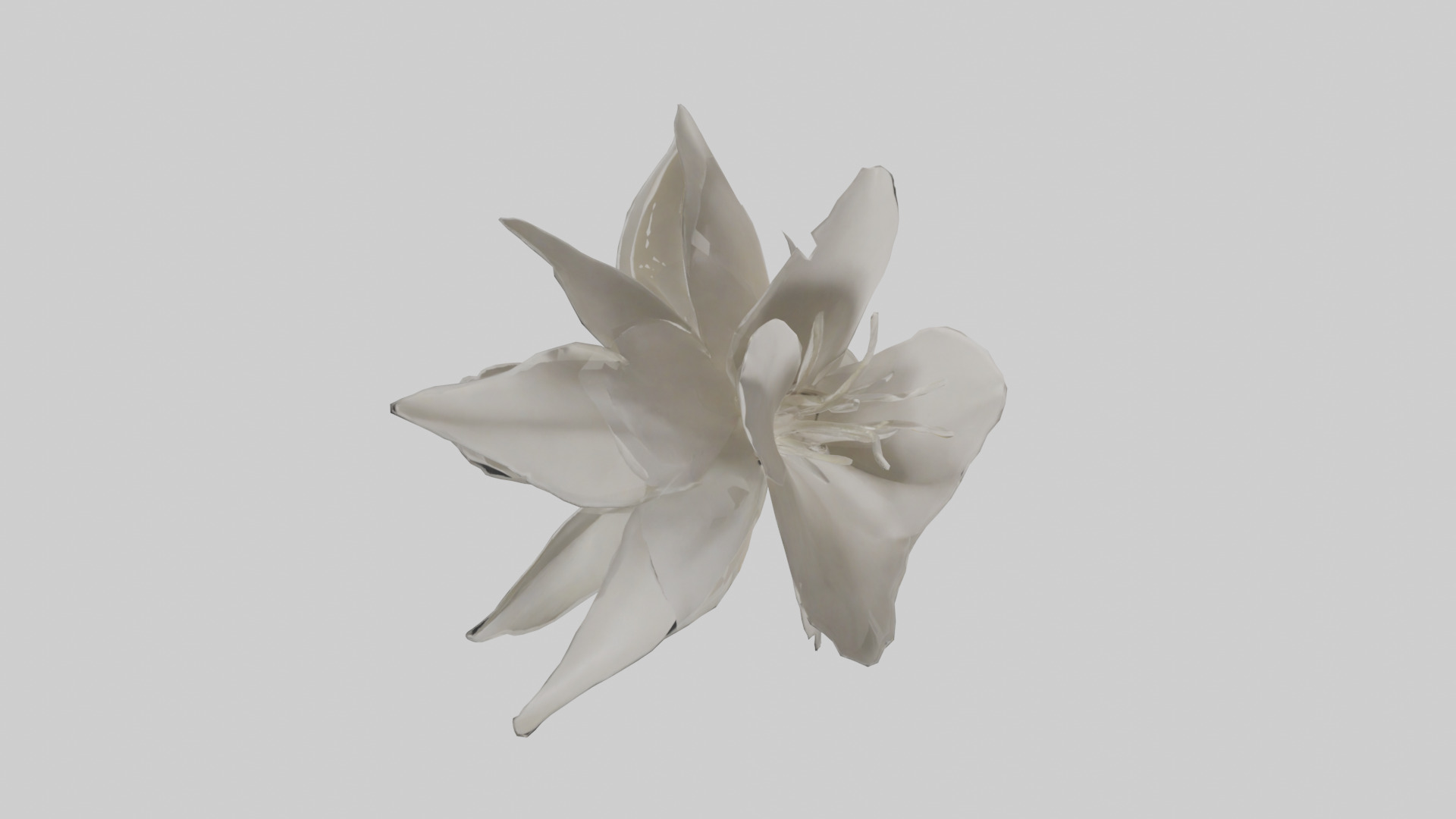 Gardenia model Low-poly 3D model_11