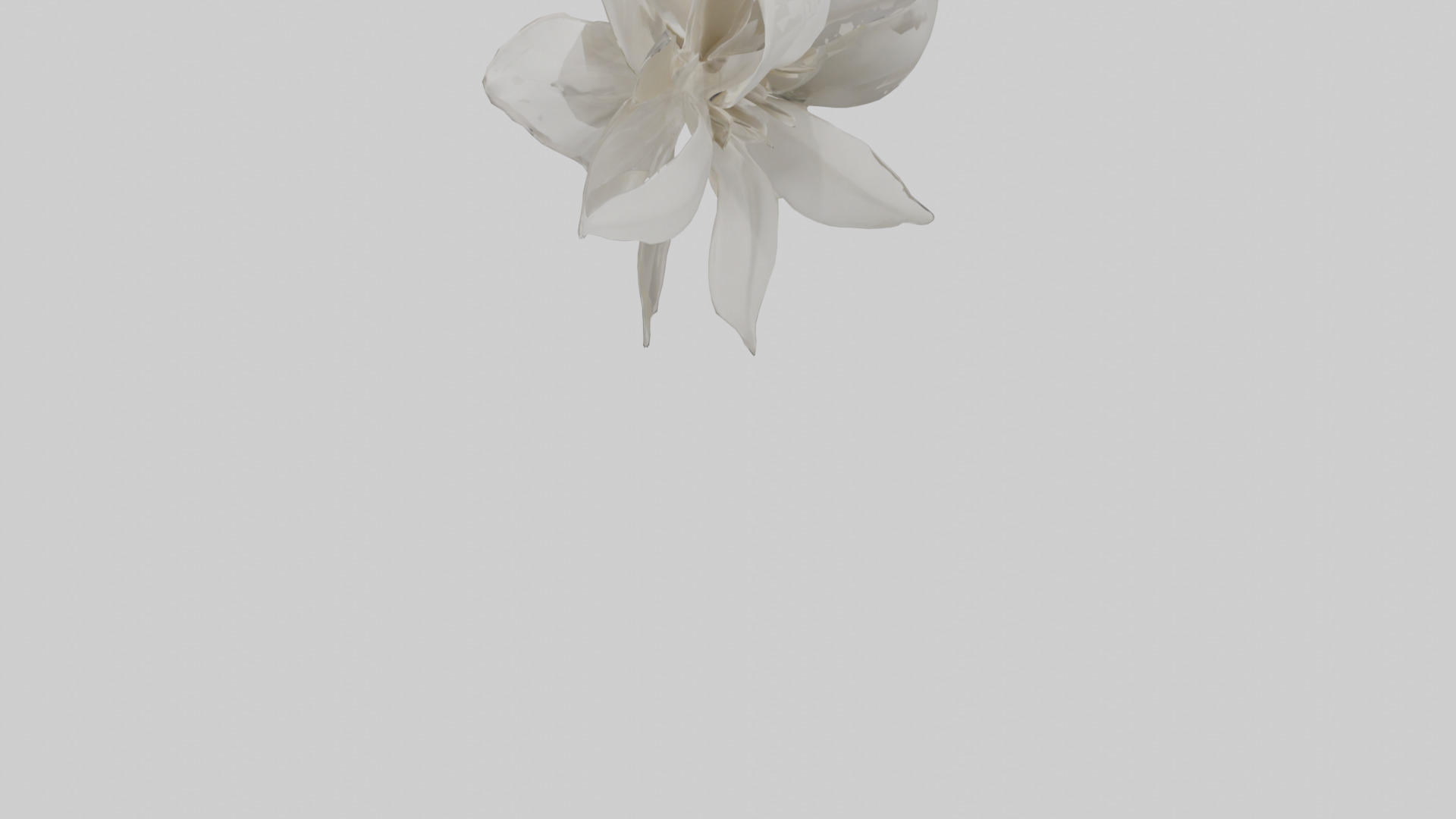Gardenia model Low-poly 3D model_3