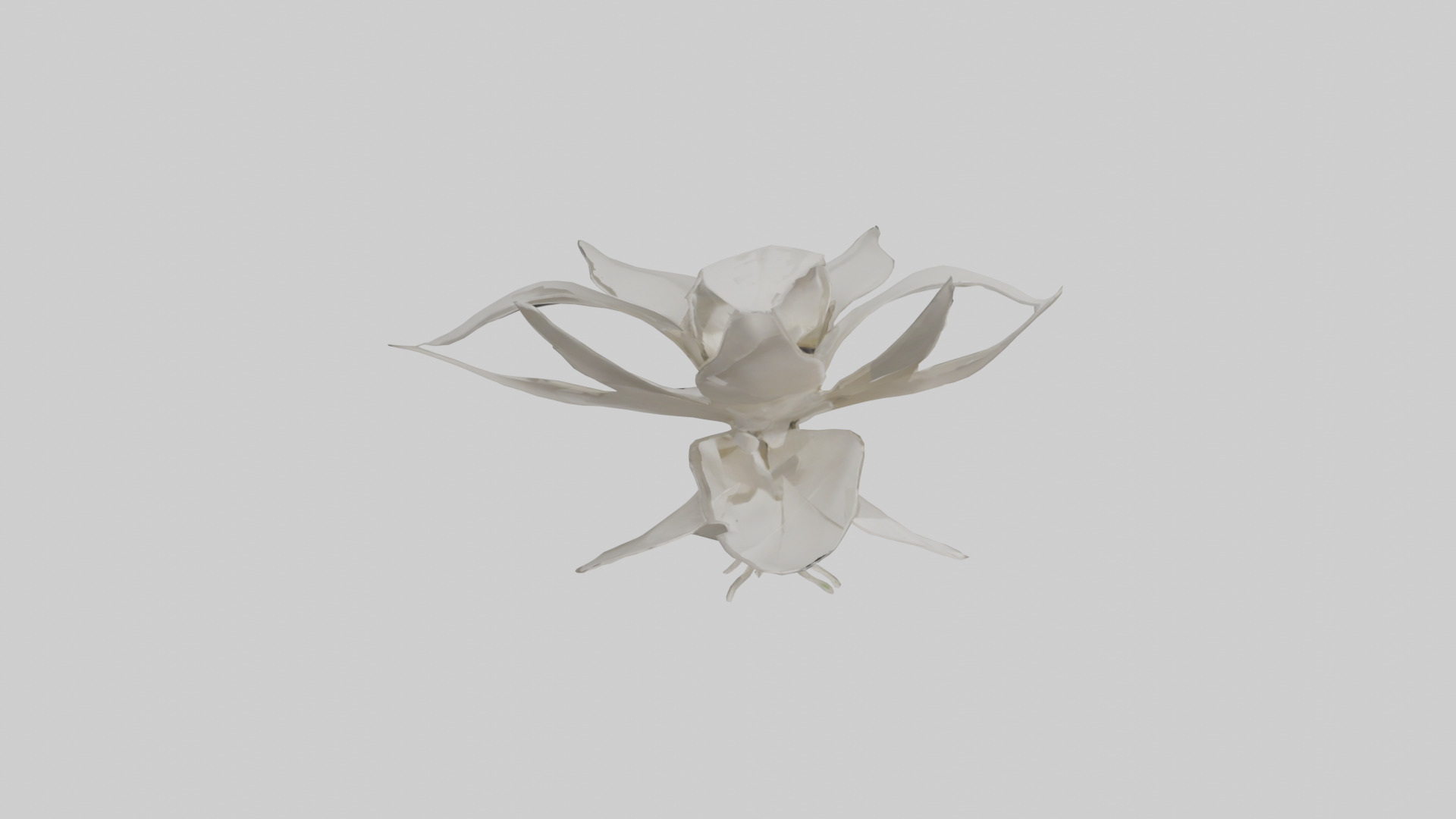 Gardenia model Low-poly 3D model_14