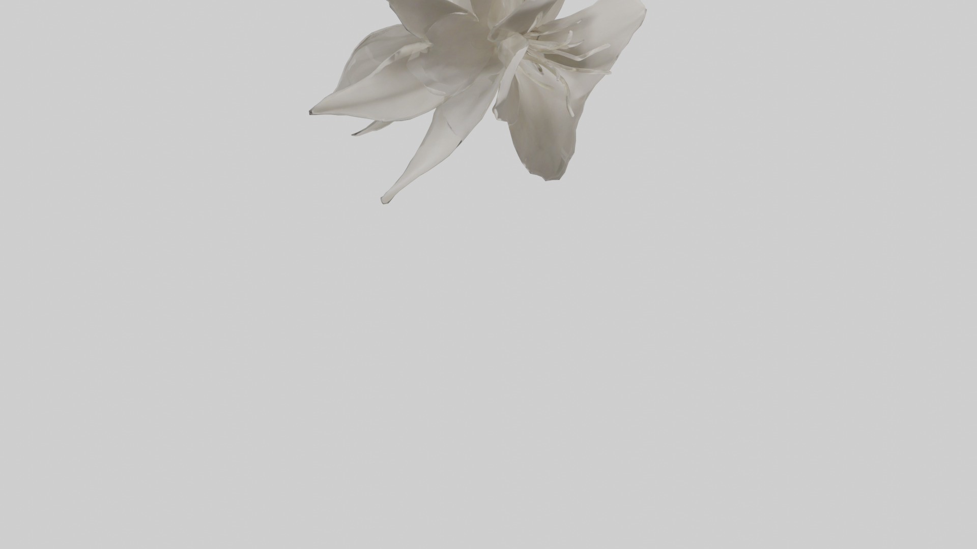 Gardenia model Low-poly 3D model_6