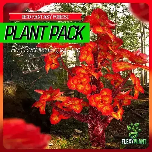 Red Fantasy Forest - 6 Red Beehive Ginger Tree Conifer Plant