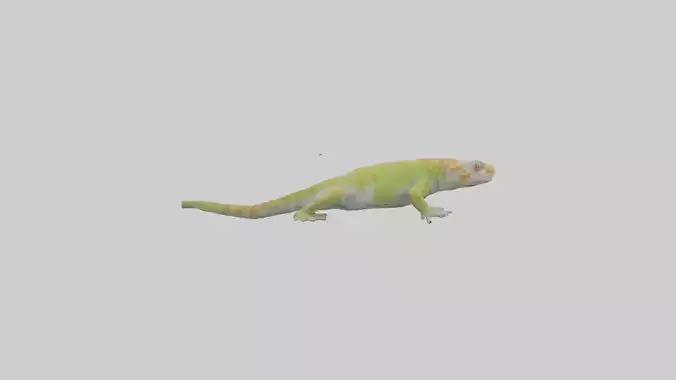 Gecko climbing model