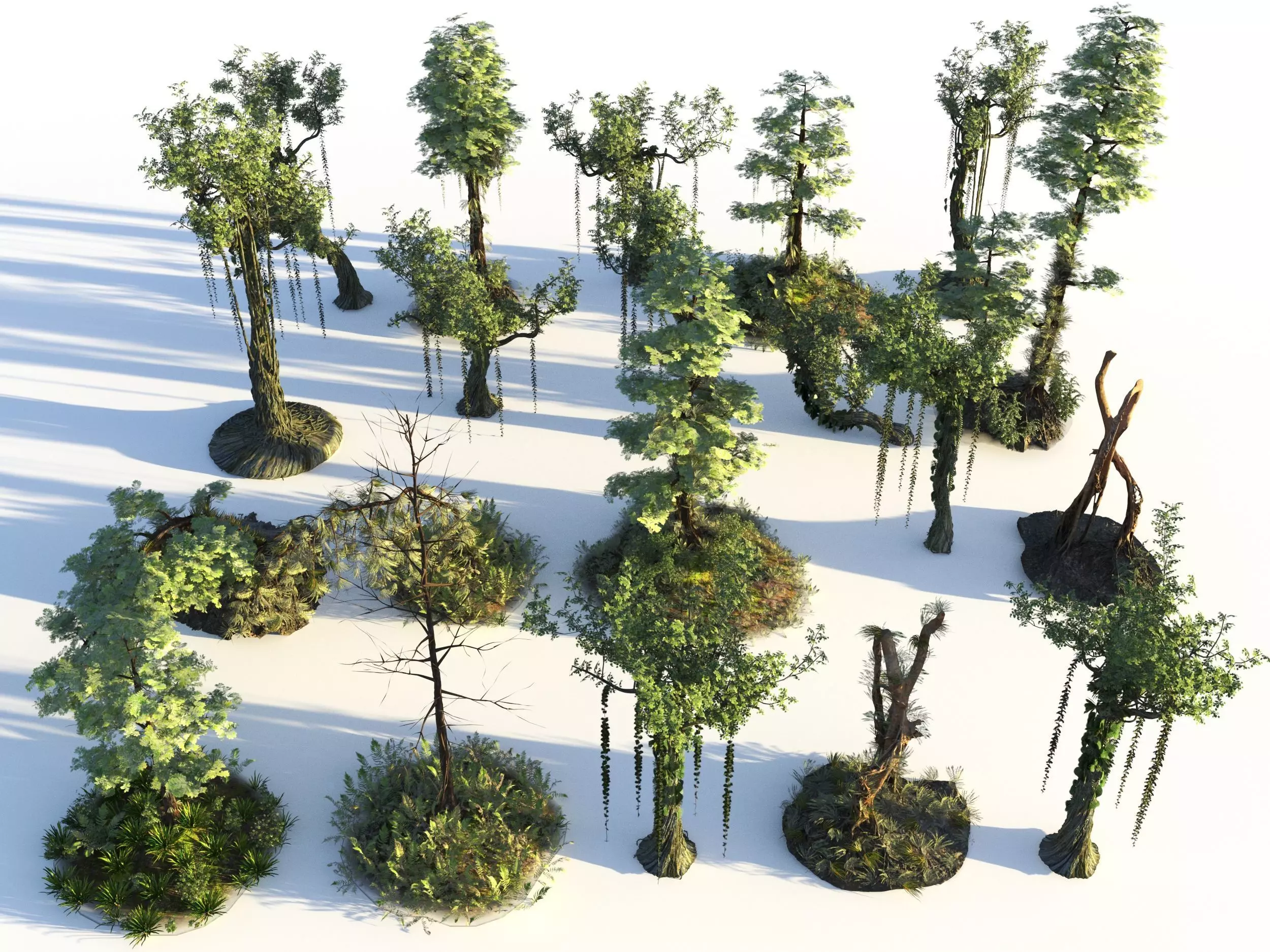 Forest Pack  3D model_0