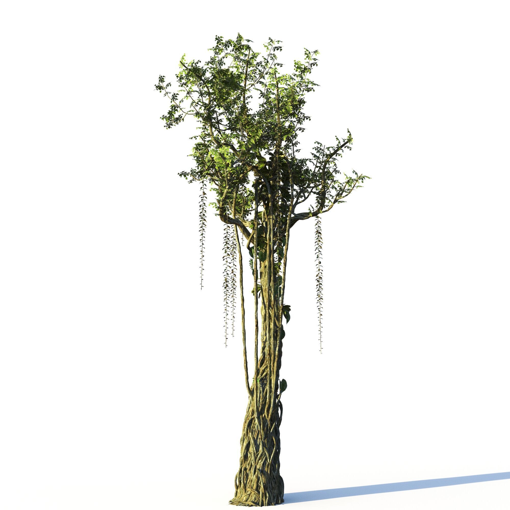 Forest Pack  3D model_22