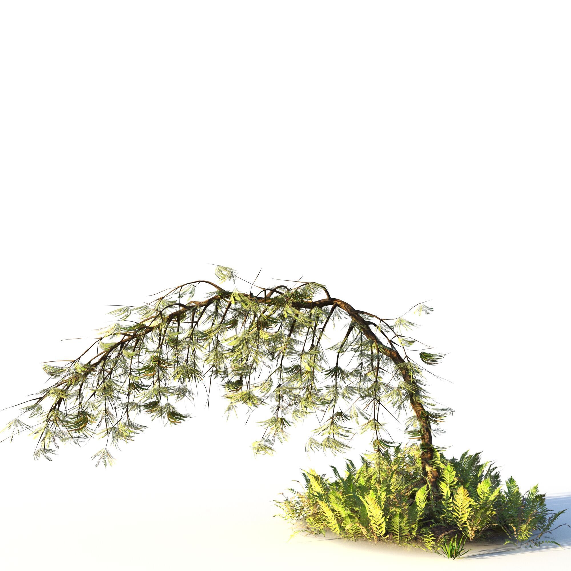 Forest Pack  3D model_12