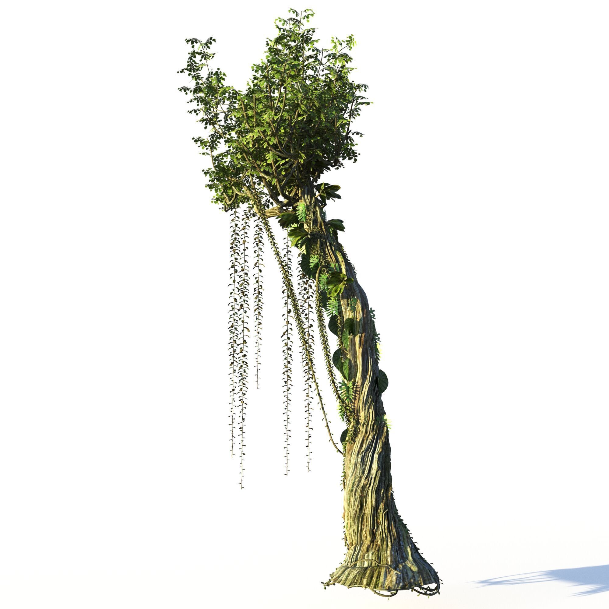 Forest Pack  3D model_17