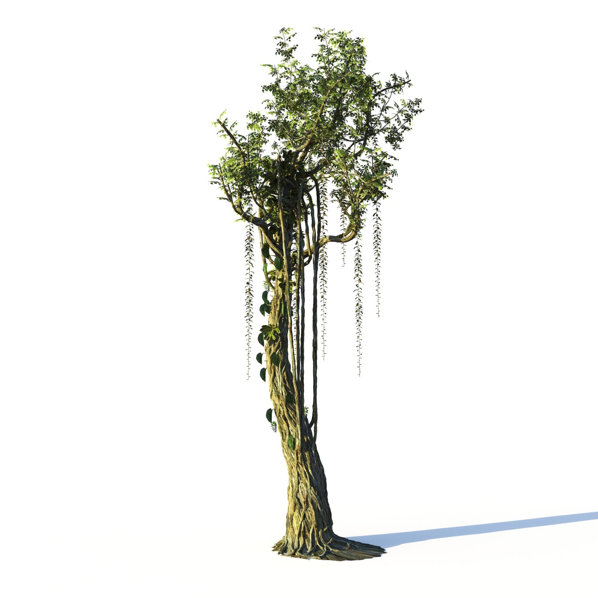 Forest Pack  3D model_16