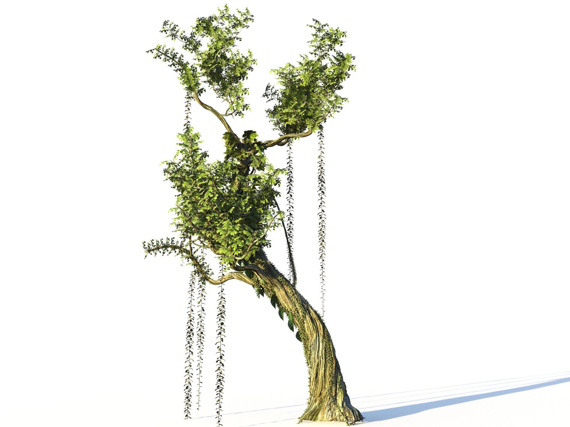 Forest Pack  3D model_23