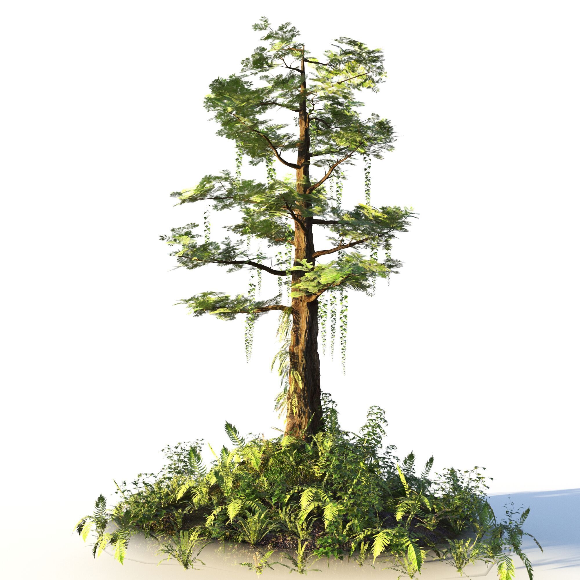Forest Pack  3D model_18