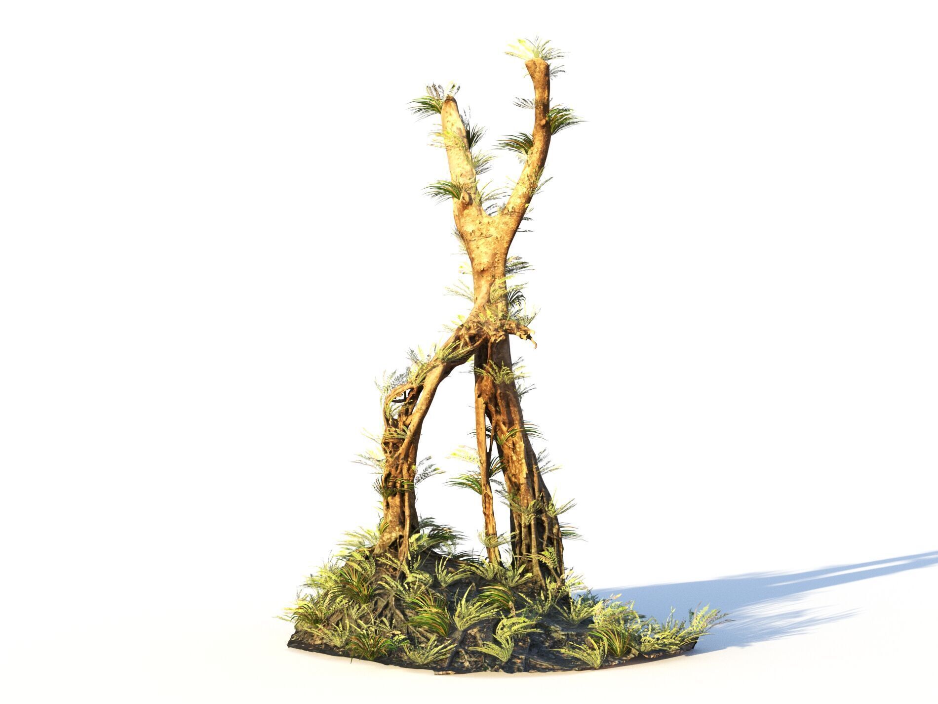 Forest Pack  3D model_5