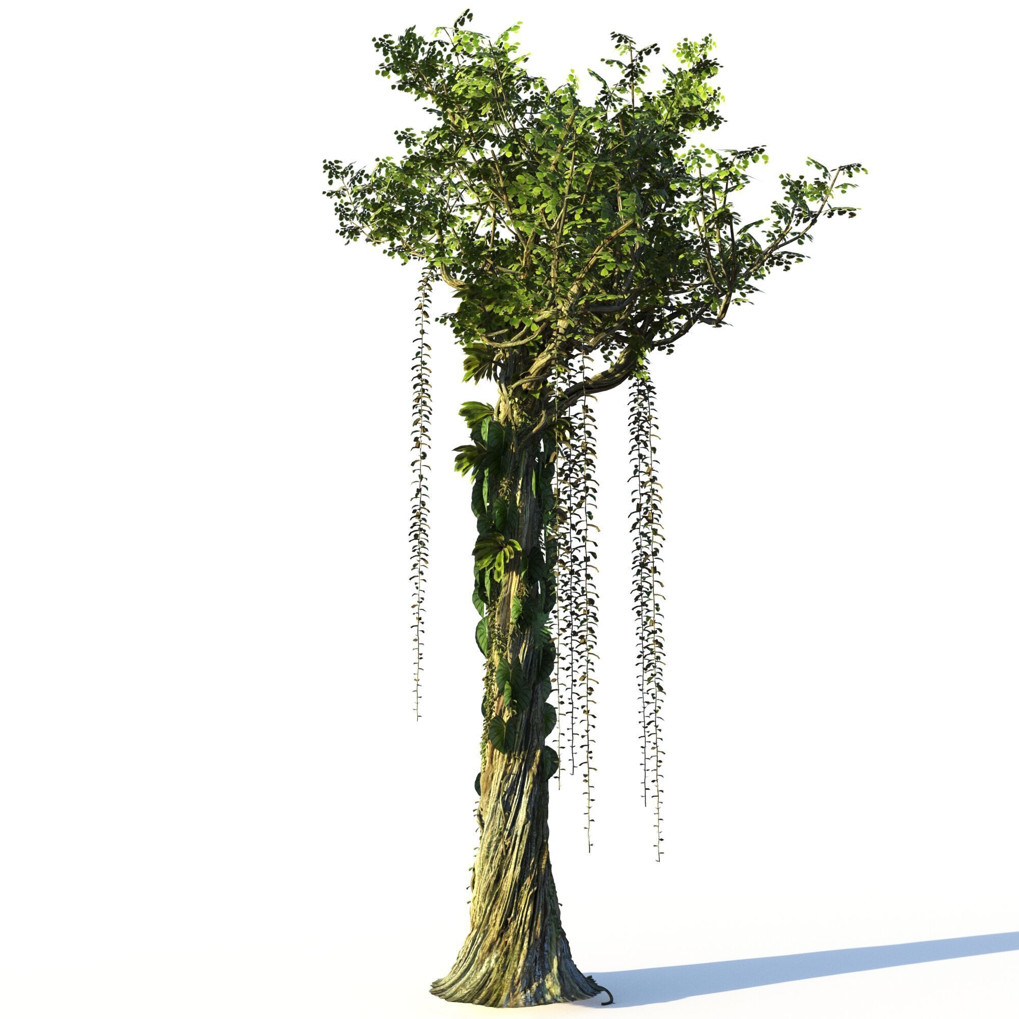 Forest Pack  3D model_4