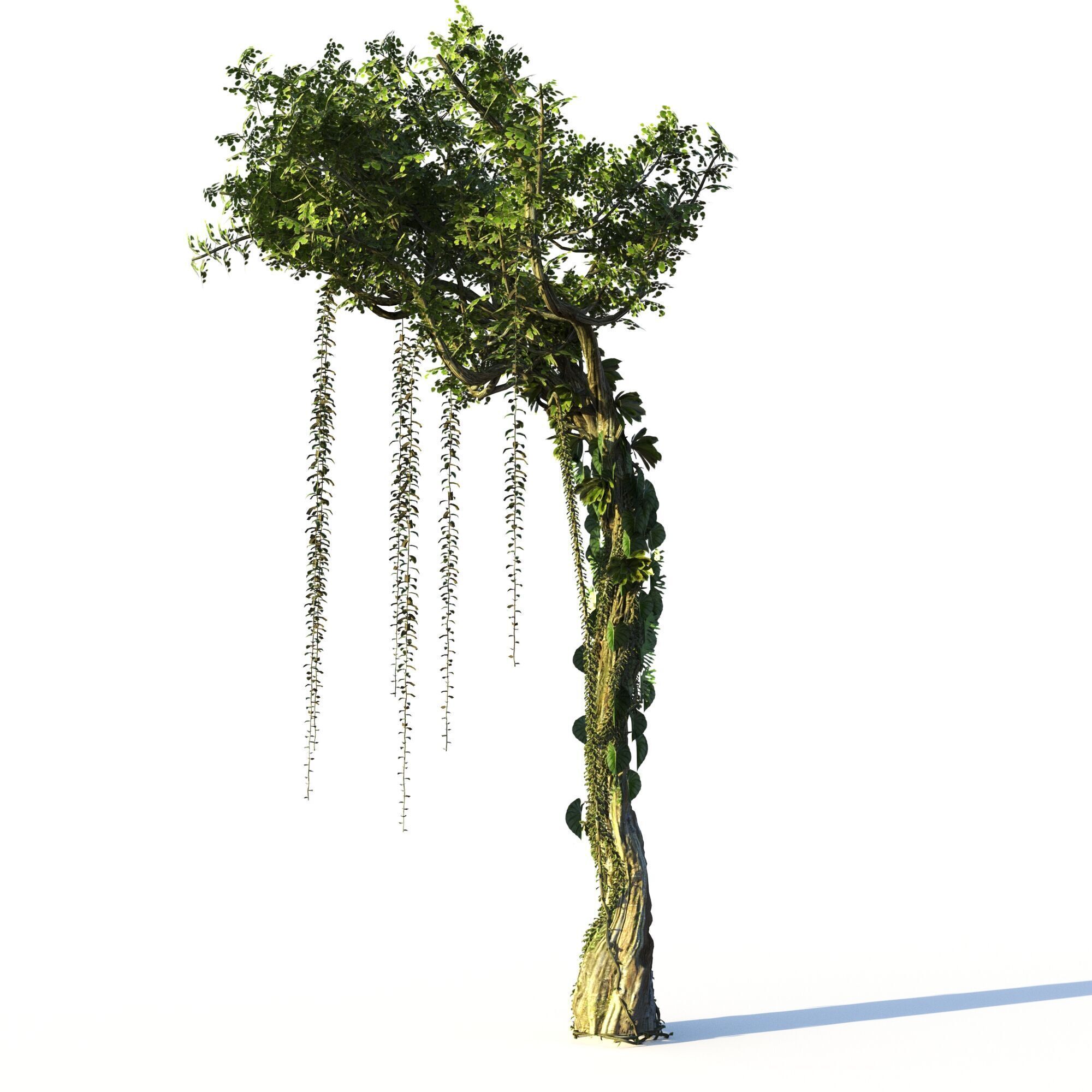 Forest Pack  3D model_10