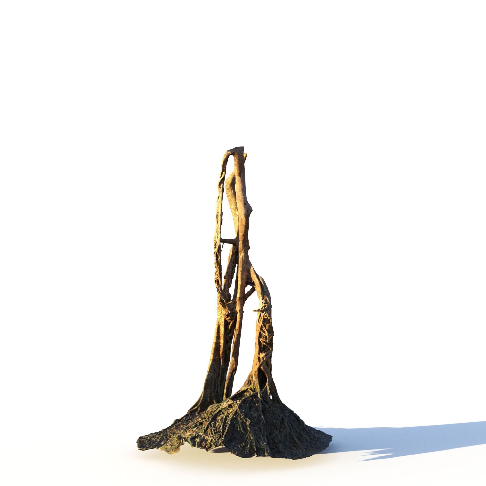 Forest Pack  3D model_9