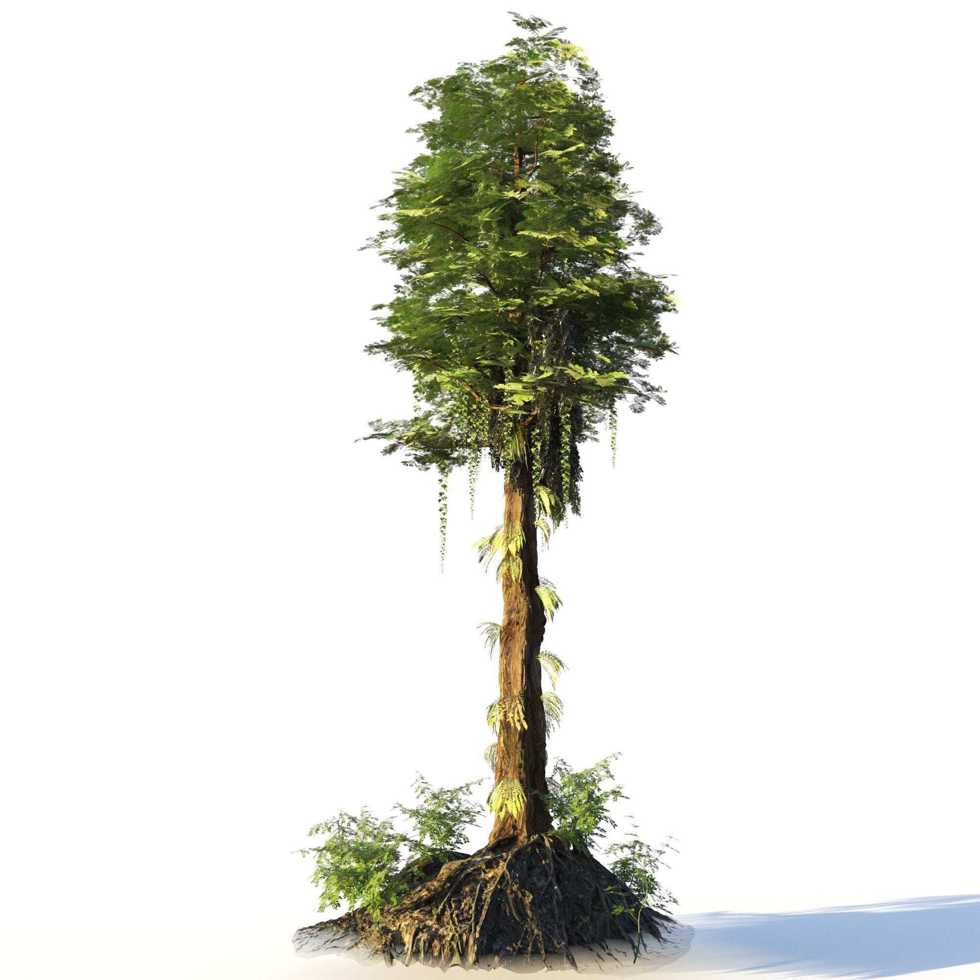 Forest Pack  3D model_20