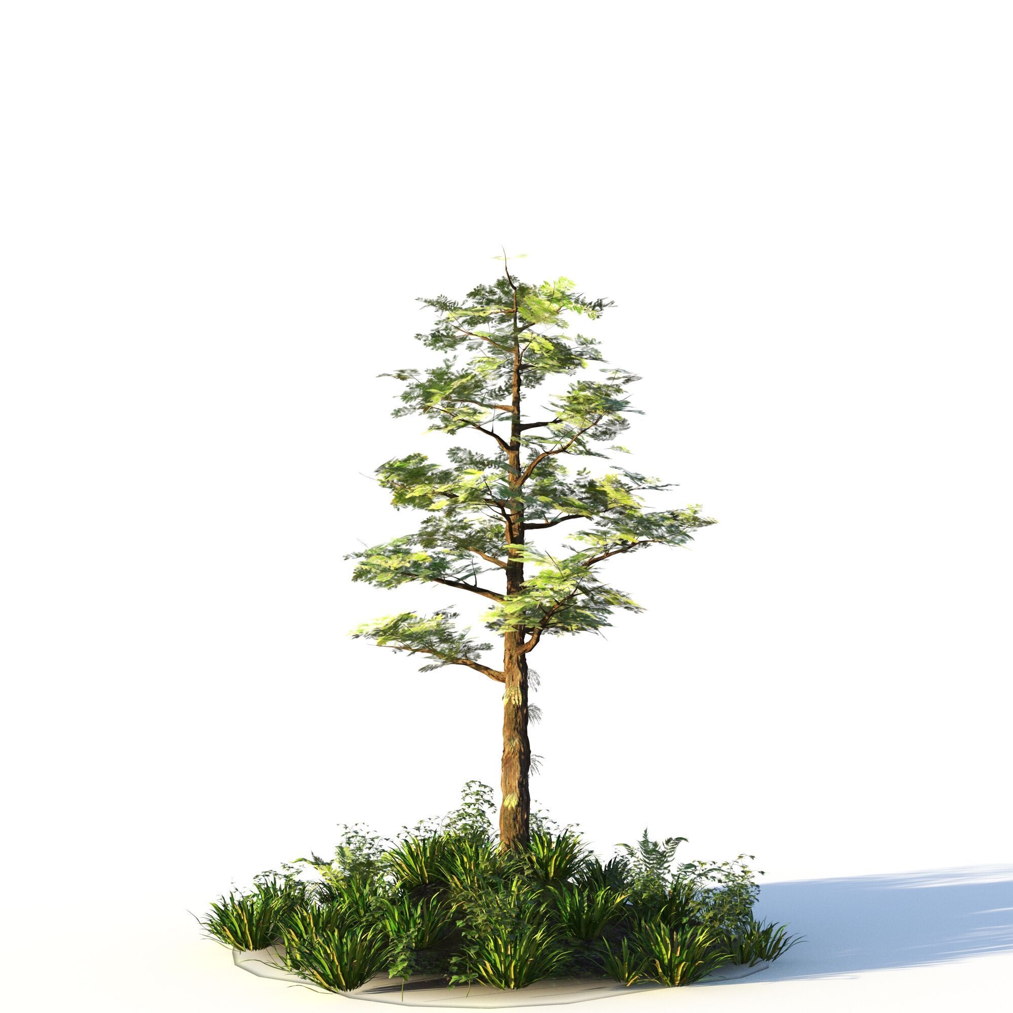 Forest Pack  3D model_8