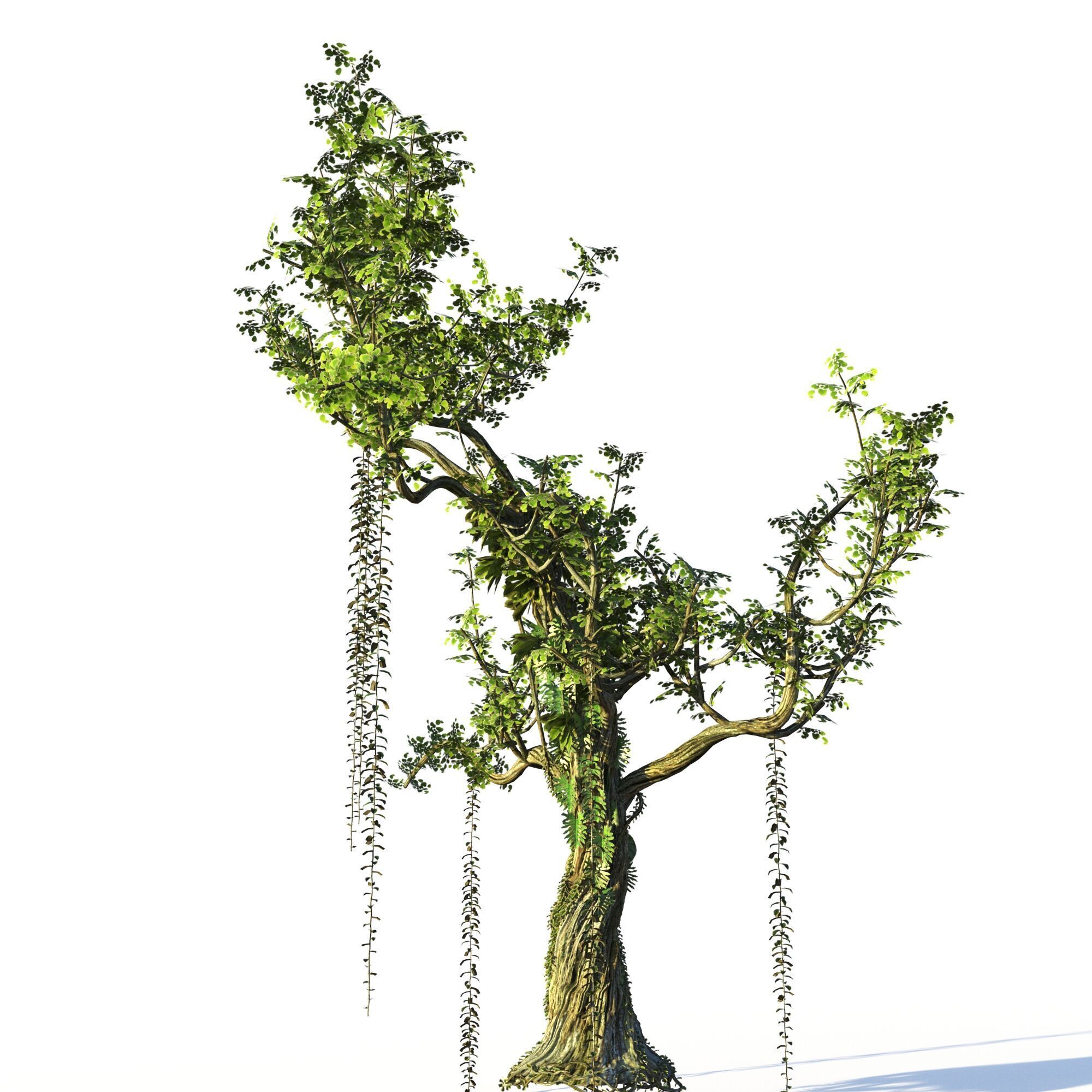 Forest Pack  3D model_21