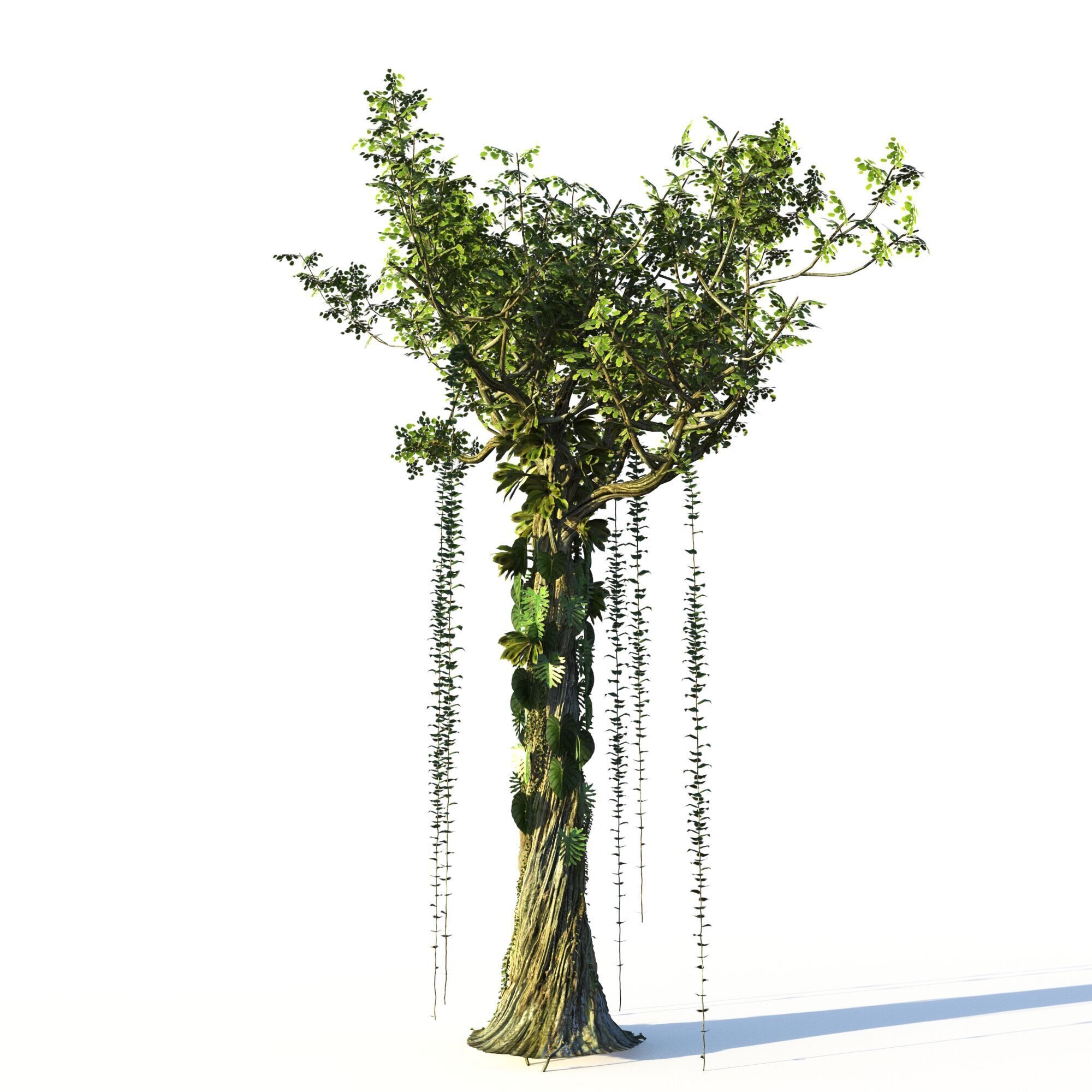 Forest Pack  3D model_6