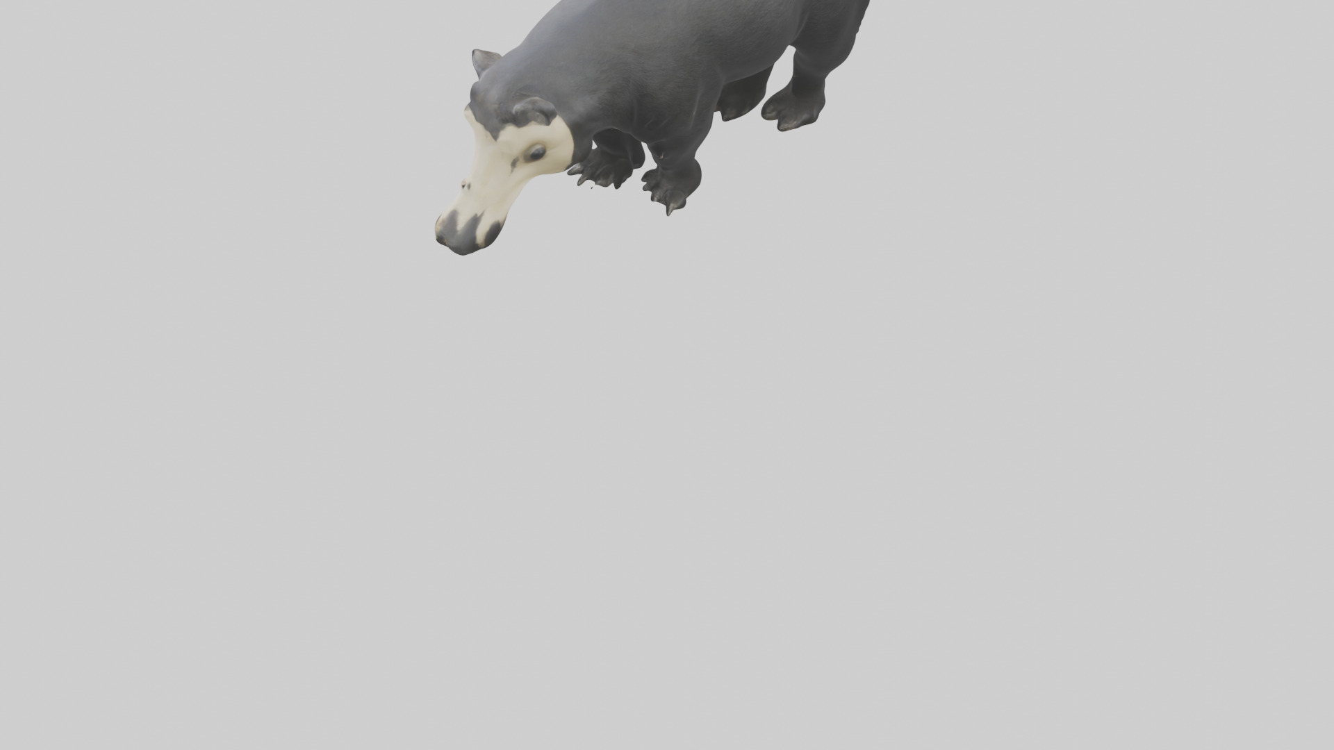 Giant Anteater sniffing ground model Low-poly 3D model_3