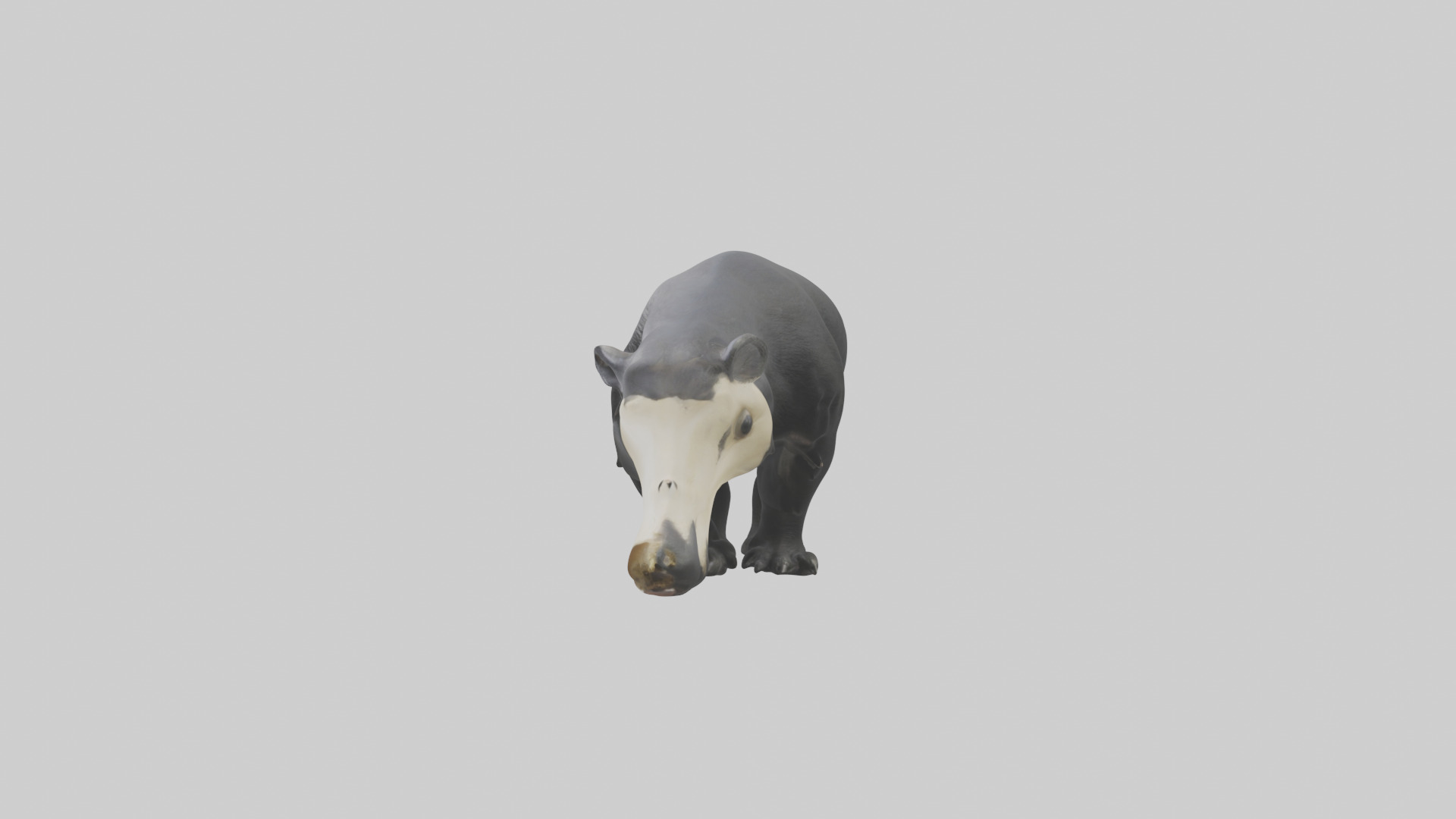Giant Anteater sniffing ground model Low-poly 3D model_12