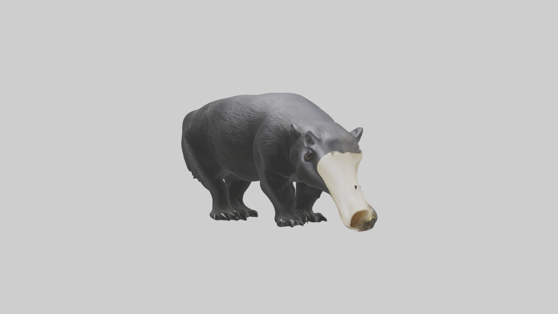 Giant Anteater sniffing ground model Low-poly 3D model_10