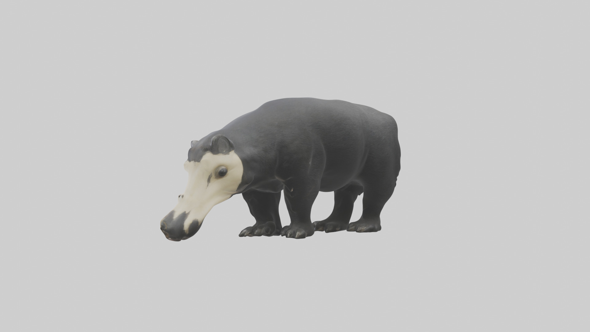 Giant Anteater sniffing ground model Low-poly 3D model_1
