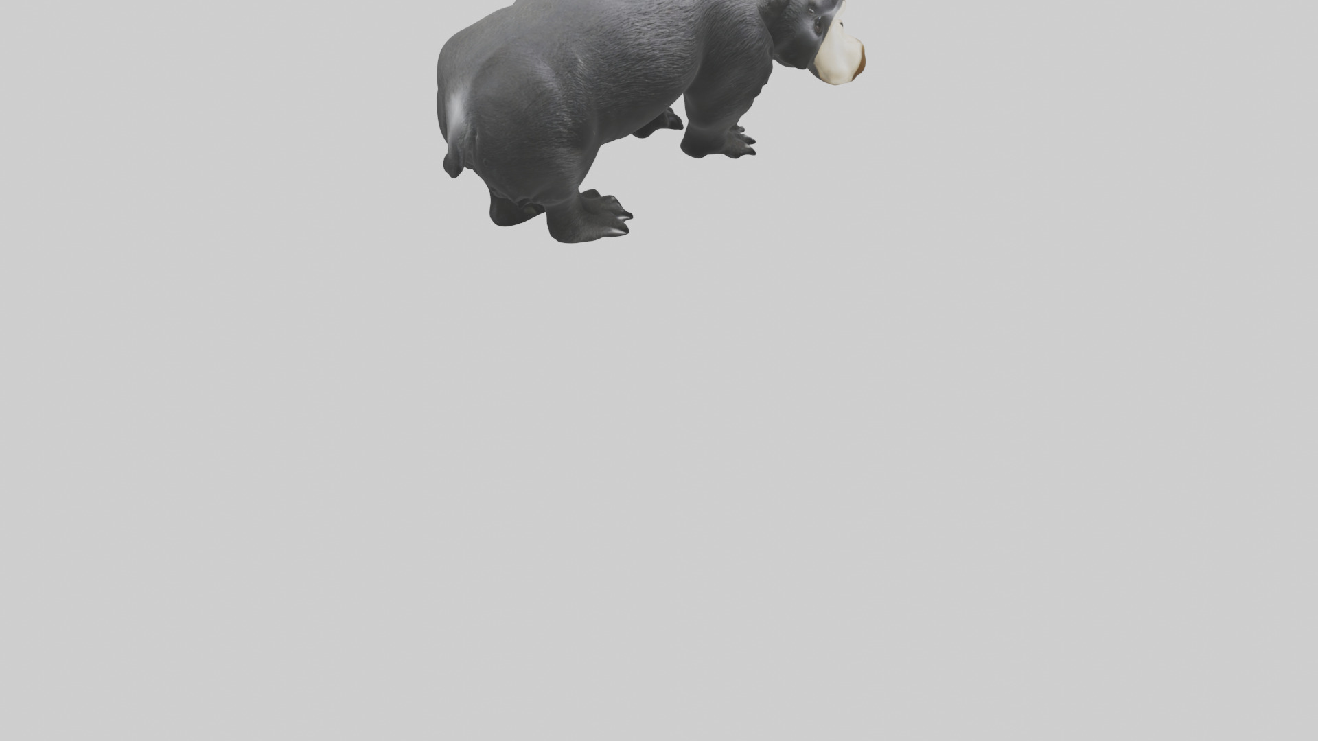 Giant Anteater sniffing ground model Low-poly 3D model_6