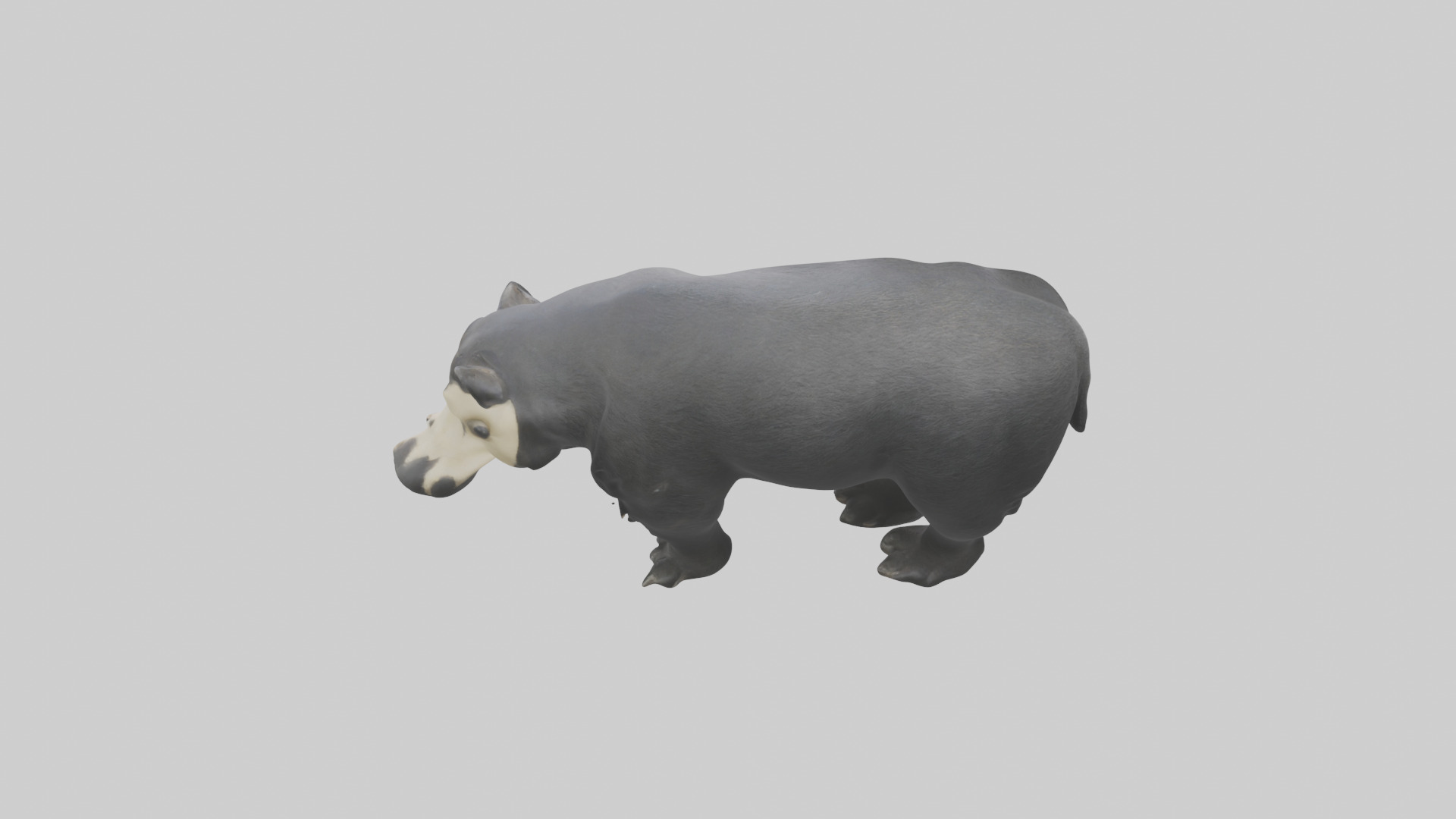 Giant Anteater sniffing ground model Low-poly 3D model_15