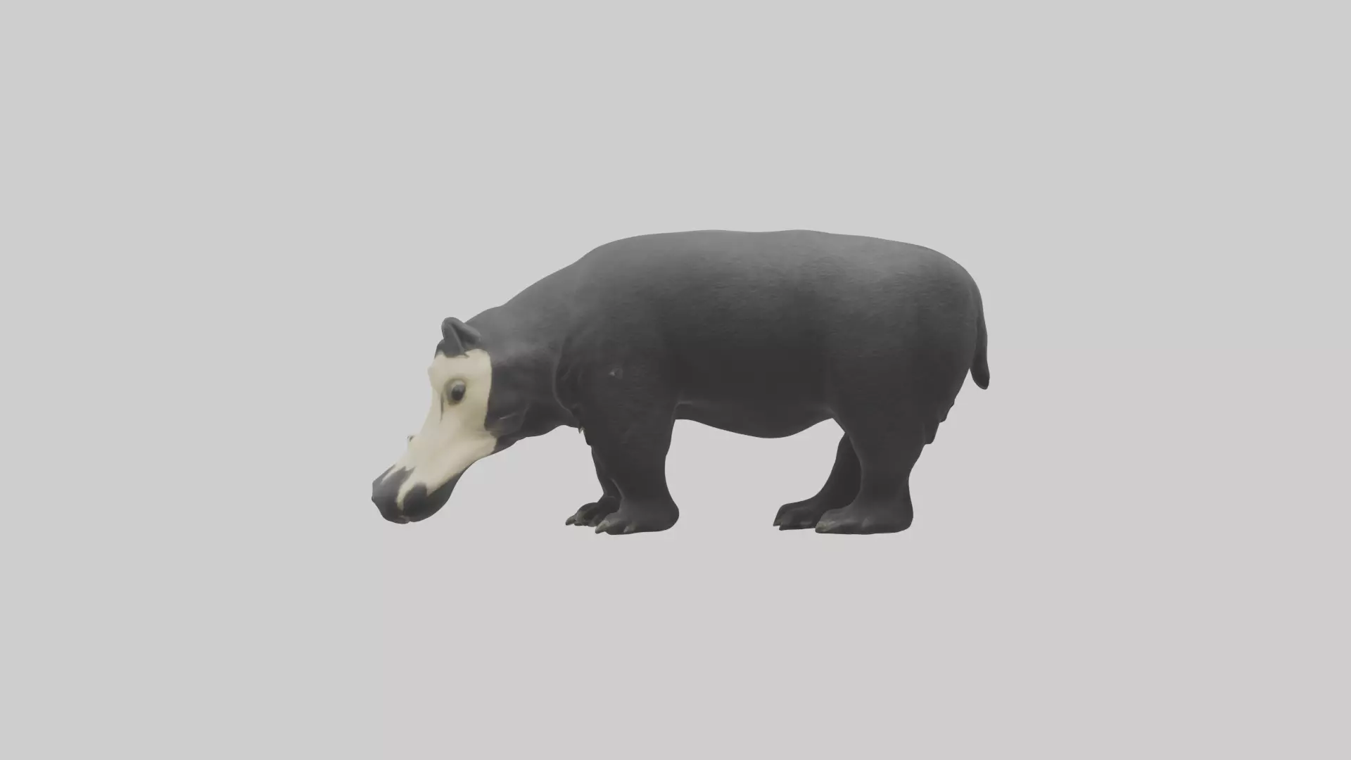 Giant Anteater sniffing ground model Low-poly 3D model_0